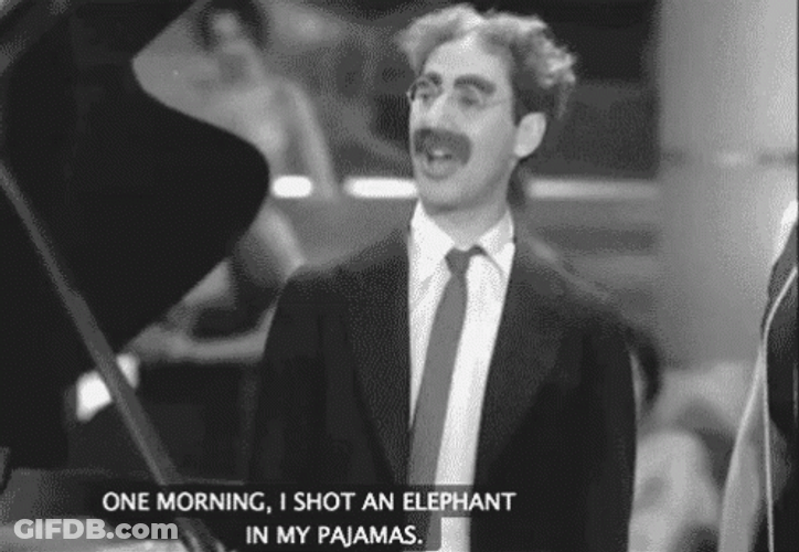 Marx Brothers Groucho Elephant GIF