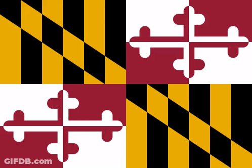 Maryland Flag Red White Yellow Pattern GIF