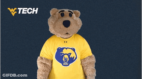 Mascot Bear In Yellow Shirt With Blue Bear GIF