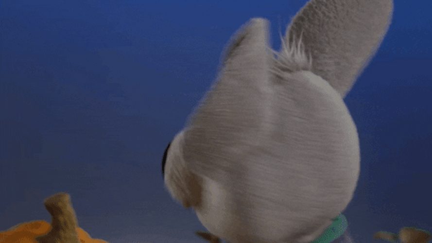 Mascot Biggie Cheese Turn Around GIF