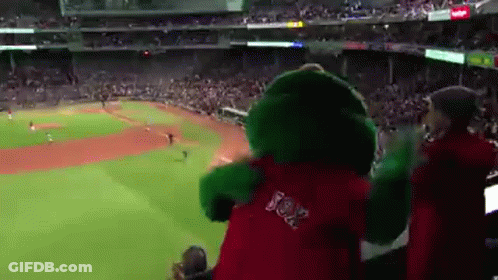 Mascot Cheering At Baseball Game GIF