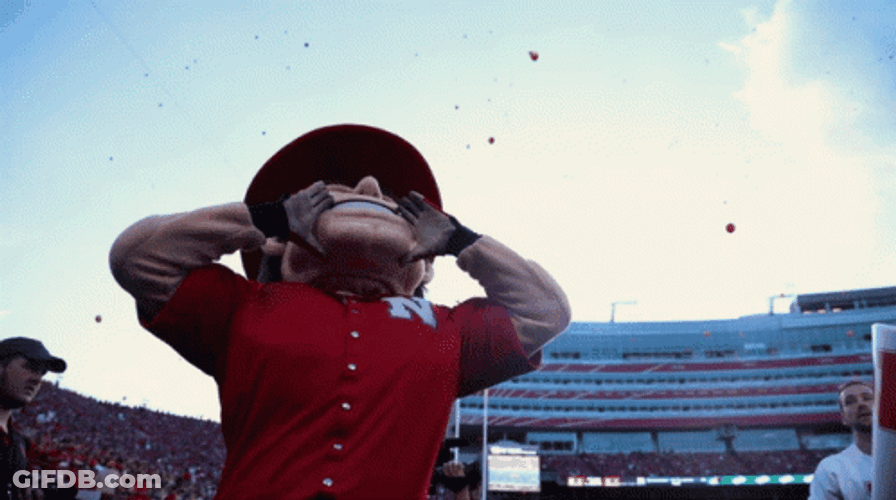 Mascot Cheering Huskers GIF
