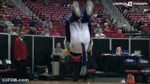 Mascot Doing Flip On Basketball Court While Crowd Watches GIF