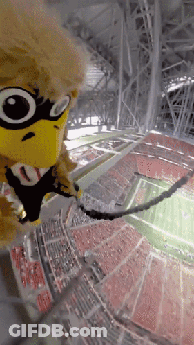 Mascot Flying Through Stadium With Rope GIF