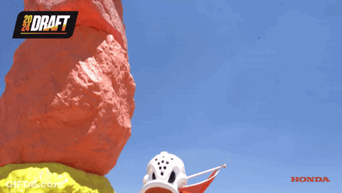 Mascot Holding Flag In Front Of Draft Rock GIF