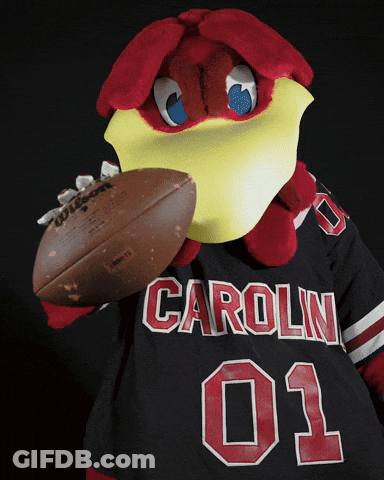 Mascot Holding Football Wearing Carolin 03 Shirt GIF