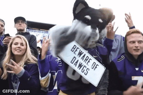 Mascot Holding Sign Saying Beware Of Dawgs GIF
