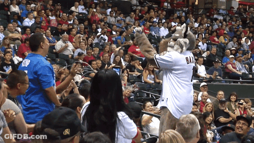 Mascot In Bay Jersey Dancing In Crowd GIF