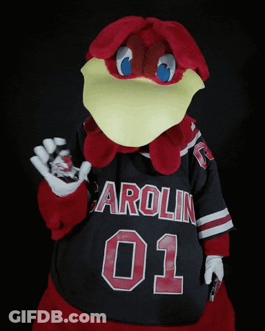 Mascot In Black Jersey Saying Carolina 01 GIF