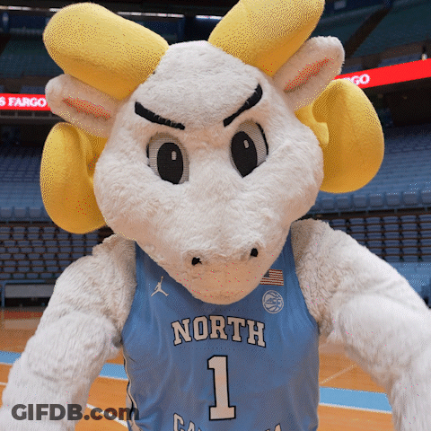 Mascot In Blue North Jersey Number 1 GIF