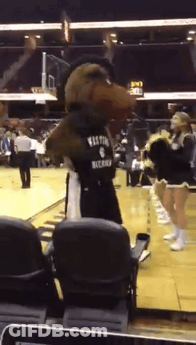 Mascot In Boston Buccaneers Jersey GIF