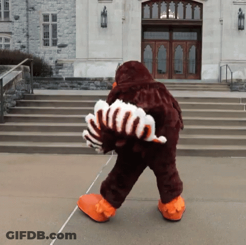 Mascot In Brown And White Costume Walking GIF