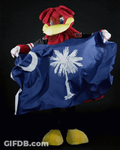 Mascot In Carolin Jersey Holding Flag GIF