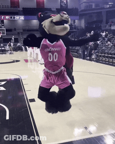 Mascot In Cincinnati Jersey Jumping On Basketball Court GIF