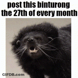 Mascot In Cincinnati Jersey Jumping On Basketball Court GIF