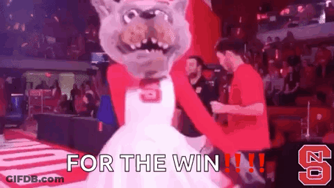 Mascot In Crowd With For The Win GIF