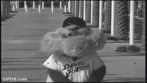 Mascot In Devil Rays Shirt GIF