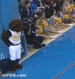 Mascot In Front Of Cheerleaders With Pom Poms GIF