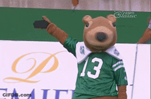Mascot In Green Jersey Number 13 GIF