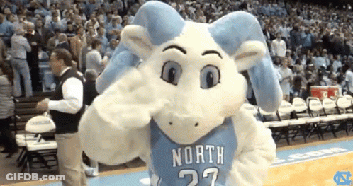 Mascot In North 27 Jersey In Front Of Crowd GIF