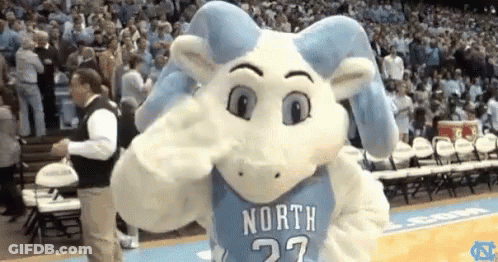 Mascot In North 27 Jersey In Front Of Crowd GIF