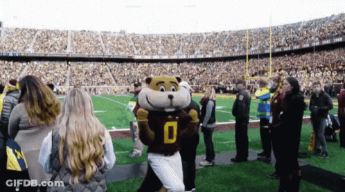 Mascot In Number 0 Jersey On Football Field GIF
