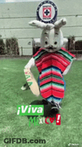 Mascot In Poncho Saying Viva Mexico GIF