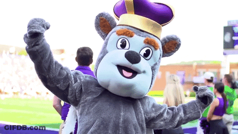 Mascot In Purple Crown And Gray Costume GIF
