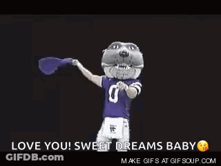 Mascot In Purple Jersey Holding Flag Saying Love You Sweet Dreams Baby GIF