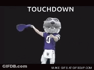 Mascot In Purple Jersey Holding Flag Saying Touchdown GIF