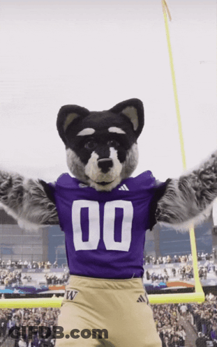 Mascot In Purple Jersey Number 00 GIF