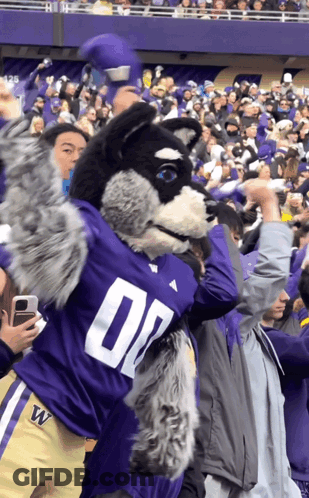 Mascot In Purple Jersey Number 07 GIF