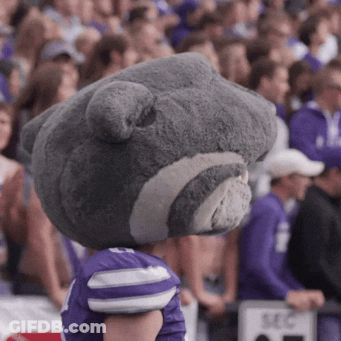 Mascot In Purple Jersey Number 10 GIF