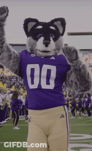Mascot In Purple Jersey With 00 GIF