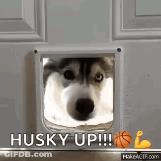Mascot In Red And White Striped Shirt And Raccoon Mask Dancing GIF