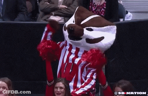 Mascot In Red And White Striped Shirt Held By Cheerleaders GIF