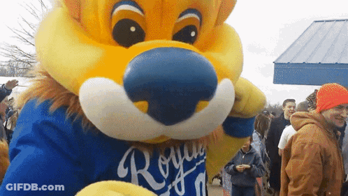 Mascot In Royals Blue Shirt GIF
