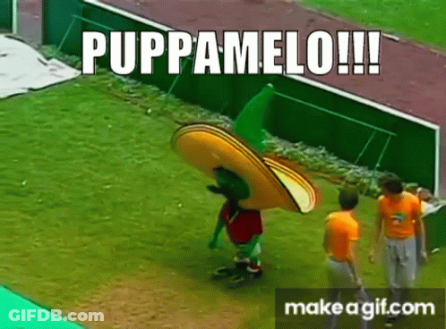 Mascot In Sombrero Walking On Field Saying Puppamelo GIF