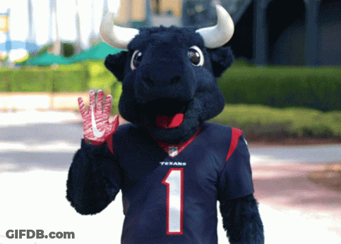 Mascot In Texans Jersey Number 1 GIF