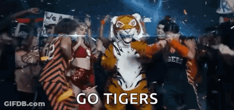Mascot In Tiger Costume Dancing In Crowd GIF