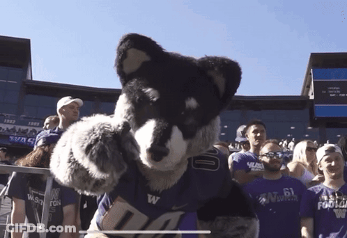 Mascot In Washington Football Shirt In Front Of Crowd GIF