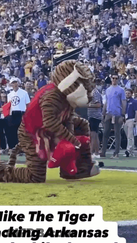 Mascot Kneeling On Field Holding Red Hat GIF