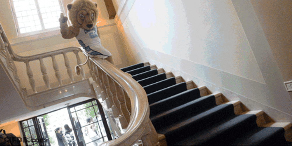 Mascot Lions Roaring Sliding Down GIF