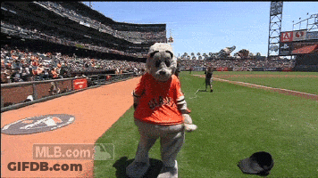 Mascot On Baseball Field GIF