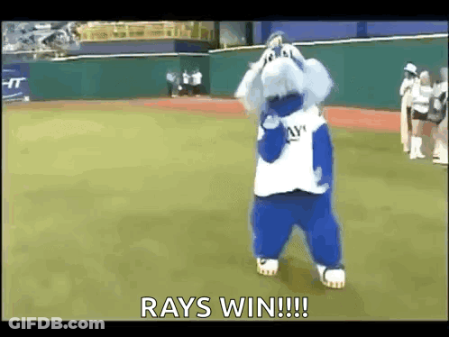 Mascot On Baseball Field Saying Rays Win GIF
