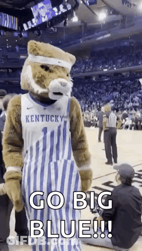 Mascot On Basketball Court Saying Go Big Blue GIF