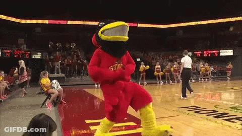 Mascot On Basketball Court Saying State GIF