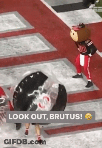 Mascot On Football Field Say Look Out Brutus GIF