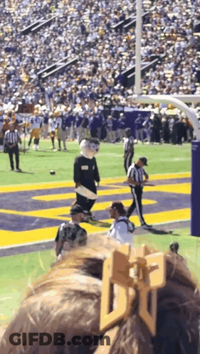 Mascot On Football Field With Crowd GIF
