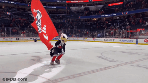 Mascot On Ice Rink Holding Washington Capitals Flag GIF